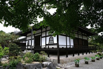 日本、奈良、當麻寺、蓮、夏、浄土庭園、綠葉、寺院、佛寺、佛教、佛像、木造建築、古代建築、庭園、木、文化財、日本文化、歷史名勝、綠色、風景、青空、初夏、写真素材