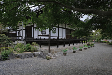 日本、奈良、當麻寺、蓮、夏、浄土庭園、綠葉、寺院、佛寺、佛教、佛像、木造建築、古代建築、庭園、木、文化財、日本文化、歷史名勝、綠色、風景、青空、初夏、写真素材