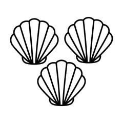 vector illustration of seashell