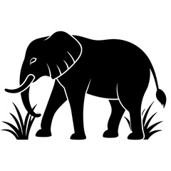 Fototapeta premium elephant silhouette vector