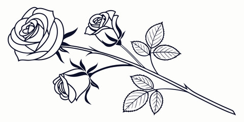 Design A Clean Modern Rose Bundle Using Only Thin