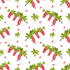 Seamless square pattern with barberry plant. Colorful print pattern with red berries. Cute texture isolated on changeable white back for wrapping paper, fabric. Bunches, leaves of barberry.