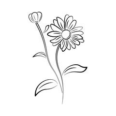 Flowers Vector isolate element. Black and white line art. Vector flowers and leaves, black and white graphics