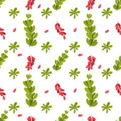 Seamless square pattern with barberry plant. Colorful print pattern with red berries. Cute texture isolated on changeable white back for wrapping paper, fabric. Bunches, leaves of barberry.