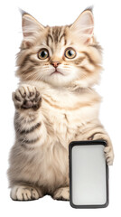 Element Isolated Transparent A fluffy cat holding a smartphone, showcasing curiosity and playful behavior.