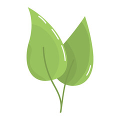 Couple green leaf in simple flat style. Leaves isolated on white background. Eco-friendly symbol for design and print. Two leaf clip art in vector. Natural sign for packages. Bright green leaves.