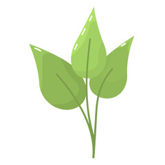 Three green leaf in simple flat style. Leaves isolated on white background. Eco-friendly symbol for design and print. Three leaf clip art in vector. Natural sign for packages. Bright green leaves.