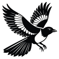 Obraz premium Elegant Black and White Magpie in Flight A Stunning Bird Illustration