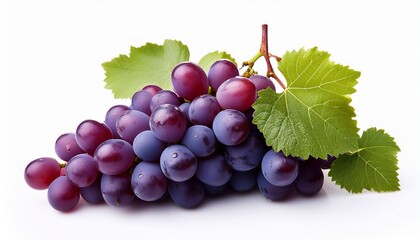 Fototapeta premium grape isolated on white background