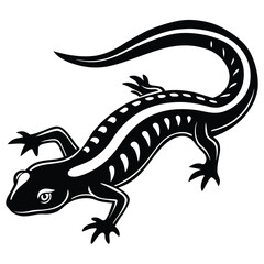 Striped Newt Illustration Black and White Amphibian Art