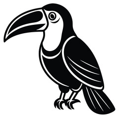 Striking Black and White Toucan Illustration Tropical Bird Art
