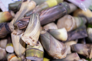 Traditional bamboo shoots are popular spice ingredient in Thailand market cooking with fresh vegetables adding authentic flavor and aroma
