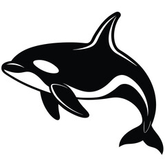 Majestic Orca Whale Silhouette Black and White Killer Whale Illustration