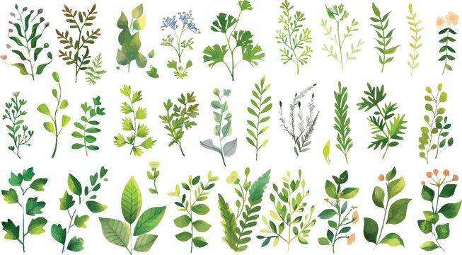 Watercolor floral and leaf collection with elegant charm. Perfect for romantic invitations and wedding themes. Ideal for fabric, stationery, and greeting card designs.