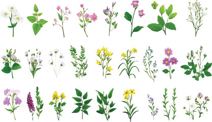 Beautiful watercolor bouquet with leaves and charm. Romantic designs perfect for weddings. Works for fabric and template printing.