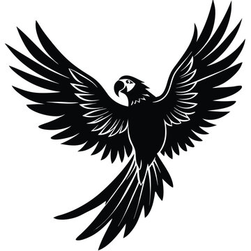 Majestic Macaw in Flight A Stunning Black and White Illustration
