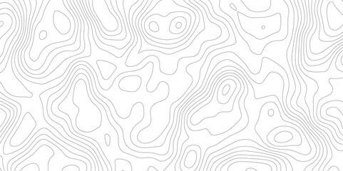 white background with abstract topographic grey contour lines creating a seamless pattern design A Perfect Fusion of Geometric Grid Lines, and Minimalist Design Elements
