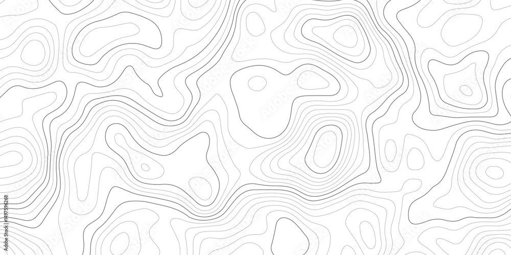 Poster white background with abstract topographic grey contour lines creating a seamless pattern design a p