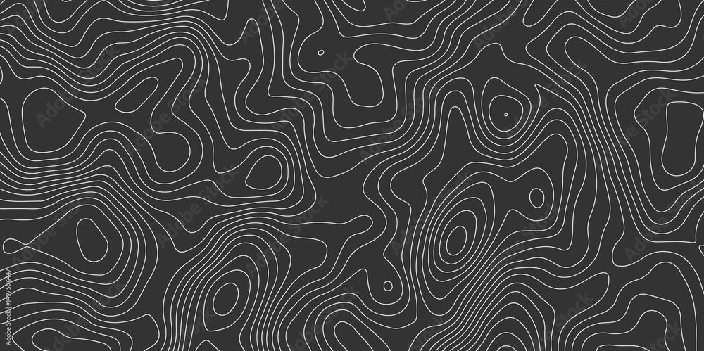 Poster dark gray abstract topographic map with white contour lines design element for modern and minimal gr