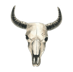 Artistic depiction of a bull skull in watercolor style featuring intricate details and soft colors typical of this medium