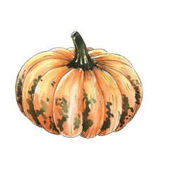 Colorful watercolor painting of a pumpkin showcasing its rich texture and warm hues
