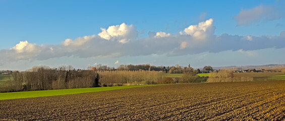 Green and brown field with bare trees under a colorful winter sky with clouds near Geraardsbergen,...