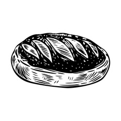 A vintage style illustration of sourdough roll