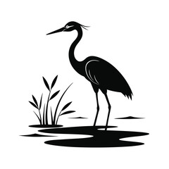 Elegant black silhouette of a heron standing in water with reeds on white background