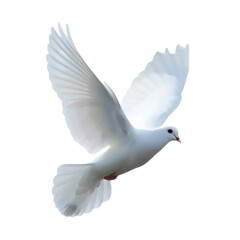 Pure White Dove in Flight: Symbol of Peace & Serenity
High-Resolution PNG for Faith, Hope, and Freedom Designs

