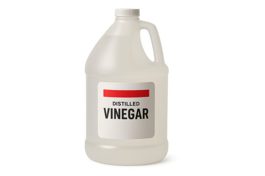 Gallon jug of distilled vinegar on transparent background