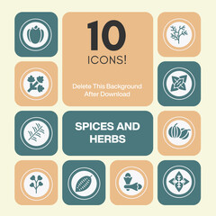 Aromatic spices and herbs icons collection representing natural flavors cooking ingredients culinary essential and healthy seasonings for food.