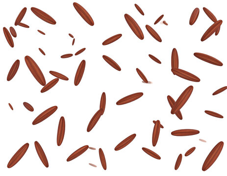 Scattered dark red rice grains on black background