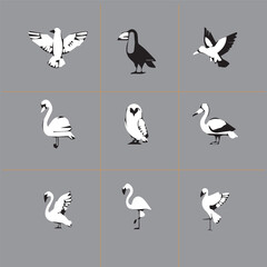 Black & White Bird Group Vector Image