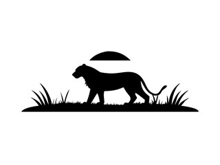 Lion Walking at Sunset Silhouette