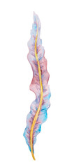 Watercolor illustration of a single wavy seaweed leaf in pink, blue, and violet tones with a yellow central vein, hand painted in detail, ideal for ocean-themed projects, packaging and decoration.