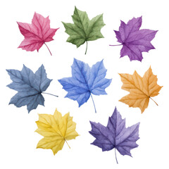 Fototapeta premium Beautiful Colorful Leaves in Various Shades for Autumn and Seasonal Design, isolated on transparent background.