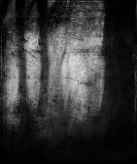 Fototapeta premium Scary horror forest, grunge nature wallpaper