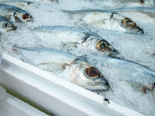 Fresh Bigeye scad&nbsp;for sale at Fish market.