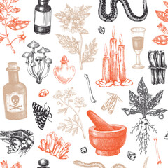 Witchcraft seamless pattern. Bohemian background. Witch herbs, poisonous plants, magic ingredients and floral elements. NOT AI generated