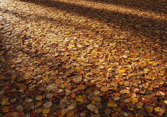 Golden Autumn Leaves Carpet Nature's Autumnal Beauty