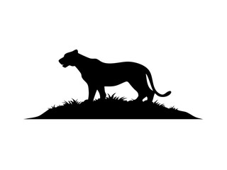Lion Standing on Hill with Grass Silhouette