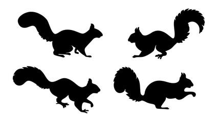 Group of running squirrel silhouette icon vector