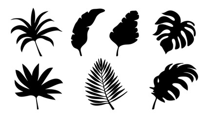 silhouette tropical leaves in vector