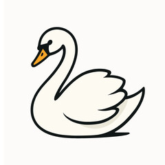 black swan on white background