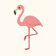 pink flamingo isolated on white