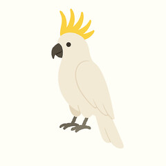 Green parrot on white background