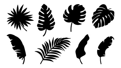 Obraz premium silhouette tropical leaves in vector