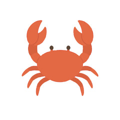 crab isolated on white background