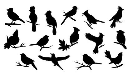 set of blue jay birds silhouette vector on tranparent background