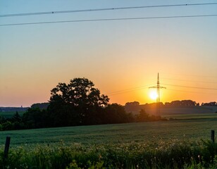 Golden sunset over wheat fields with silhouette of trees Generative AI